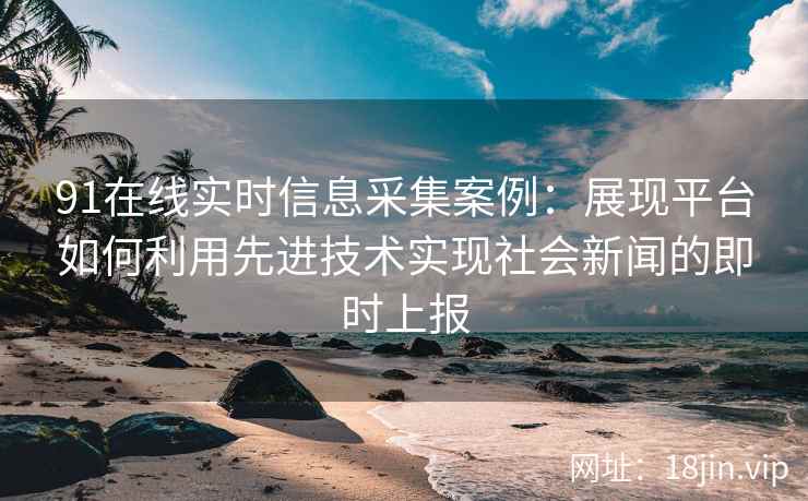 91在线实时信息采集案例：展现平台如何利用先进技术实现社会新闻的即时上报