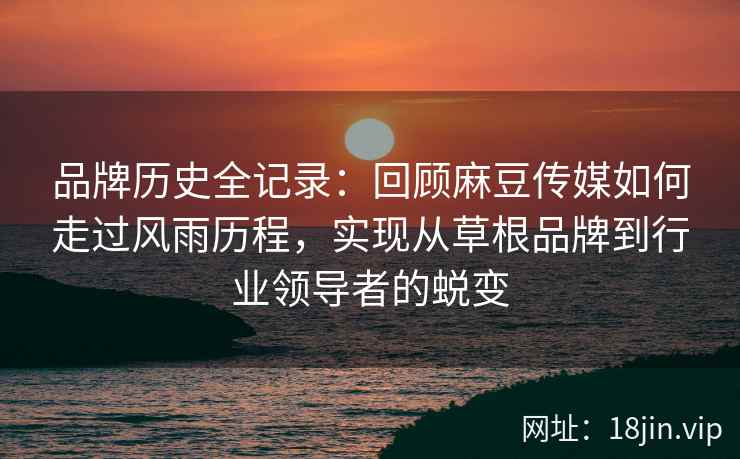 品牌历史全记录:回顾麻豆传媒如何走过风雨历程,实现从草根品牌到行业领导者的蜕变 品牌历史全记录:回顾麻豆传媒如何走过风雨历程,实现从草根品牌到行业领导者的蜕变